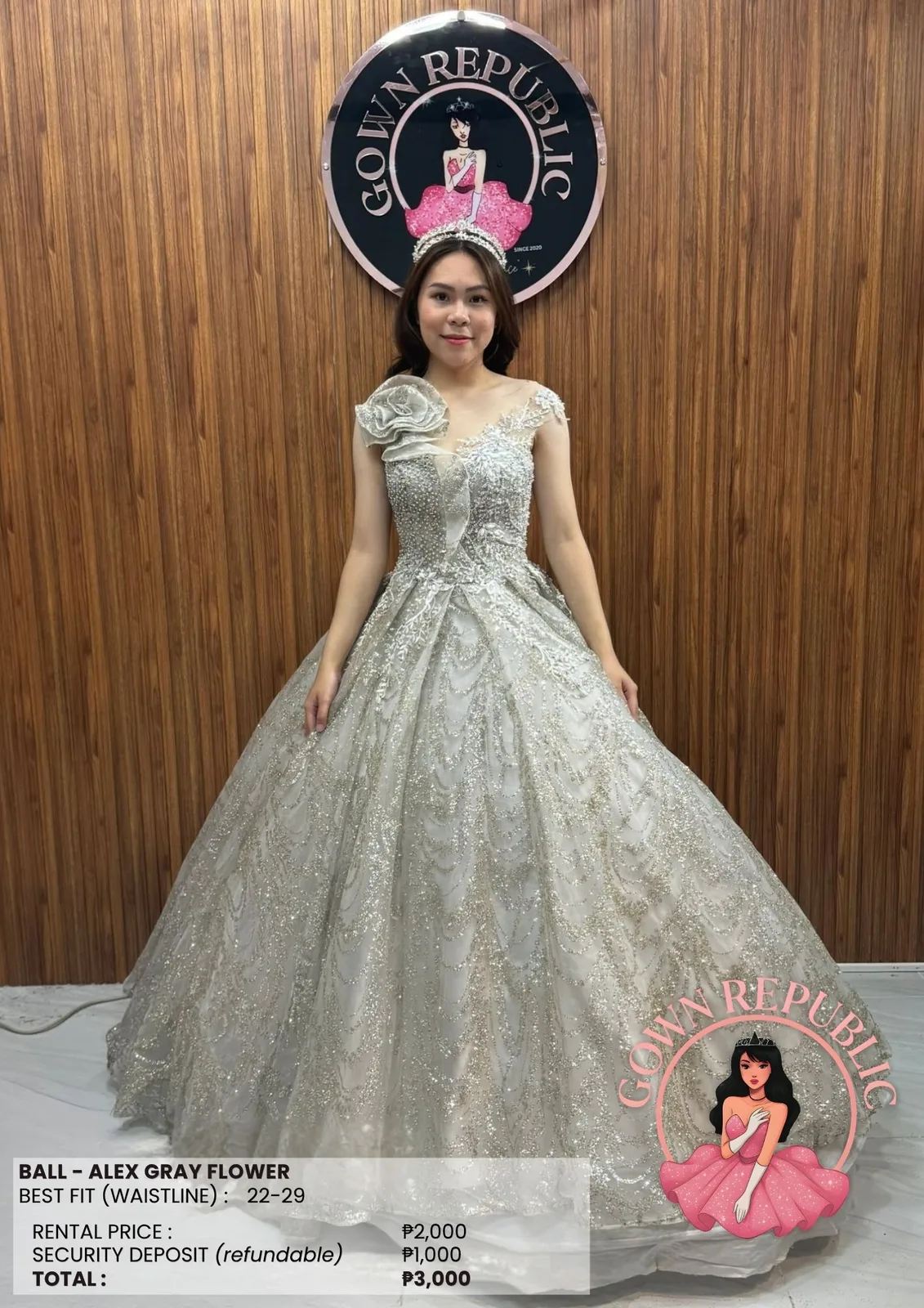 Ball Gowns: Silver / Gray 274